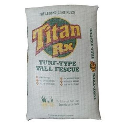 Very drought and heat tolerant. . Titan grass seed